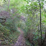 In Near Mosel River & Vineyards * Zell an der Mosel