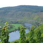 In Near Mosel River & Vineyards *