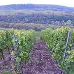 In Near Mosel River & Vineyards Apartman *