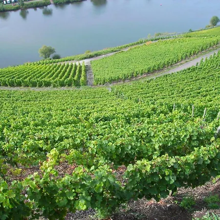Appartement In Near Mosel River & Vineyards