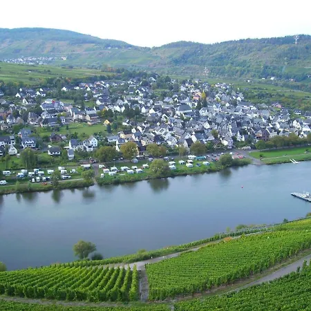 In Near Mosel River & Vineyards Zell an der Mosel