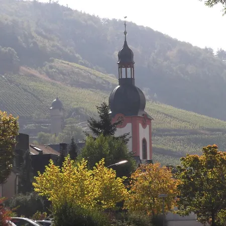 In Near Mosel River & Vineyards 아파트 *