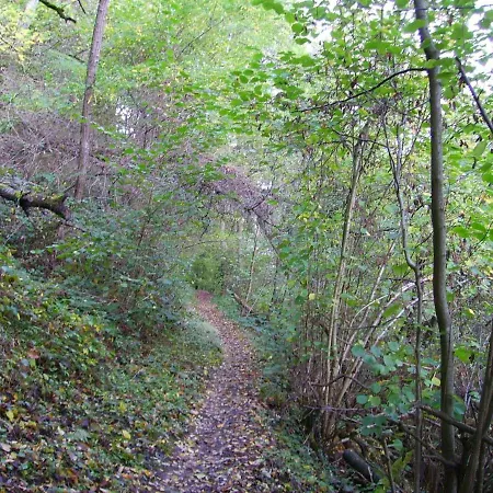 In Near Mosel River & Vineyards * Zell an der Mosel