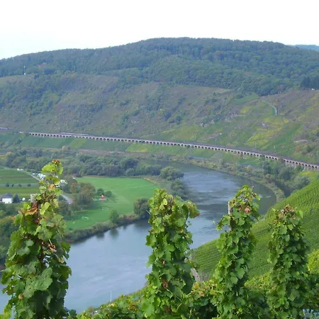 In Near Mosel River & Vineyards *