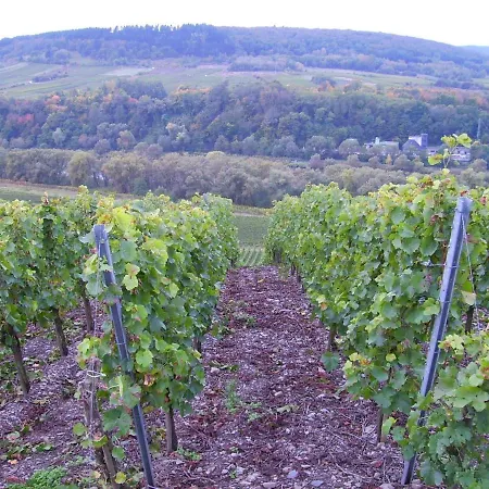 In Near Mosel River & Vineyards 아파트 *