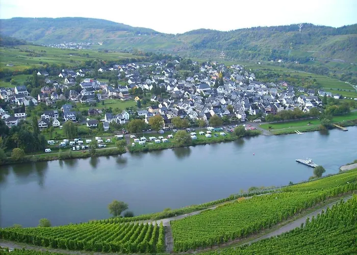 In Near Mosel River & Vineyards Zell
