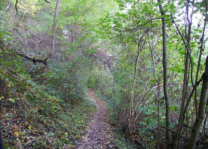 In Near Mosel River & Vineyards * 첼 안 데어 모젤