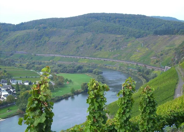 In Near Mosel River & Vineyards *