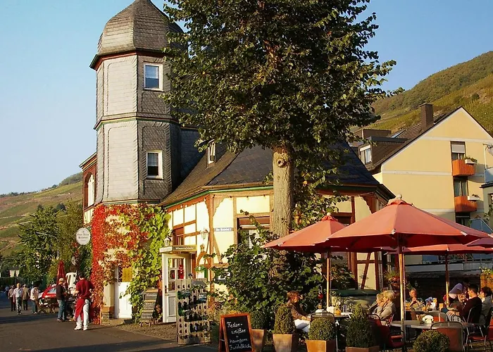 In Near Mosel River & Vineyards *